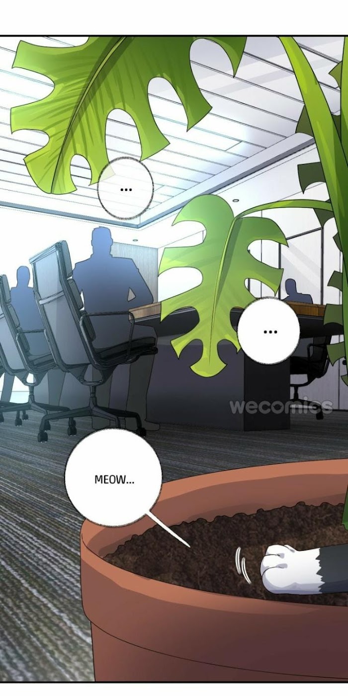 Pay Me Back, Mr. Cat Chapter 14 page 19 - 