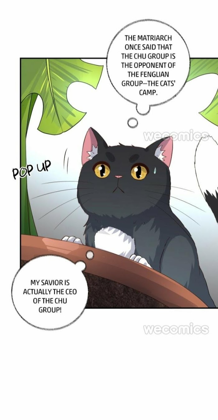 Pay Me Back, Mr. Cat Chapter 14 page 20 - 