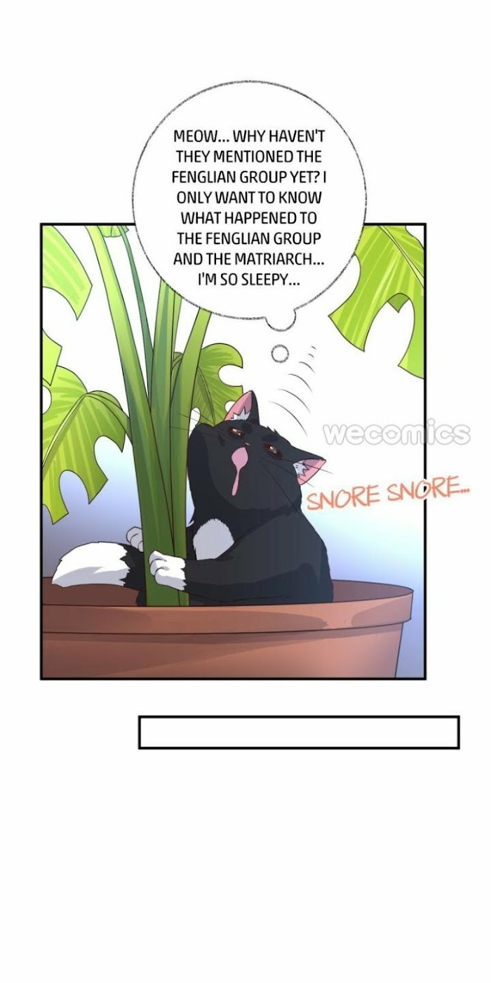Pay Me Back, Mr. Cat Chapter 14 page 22 - 