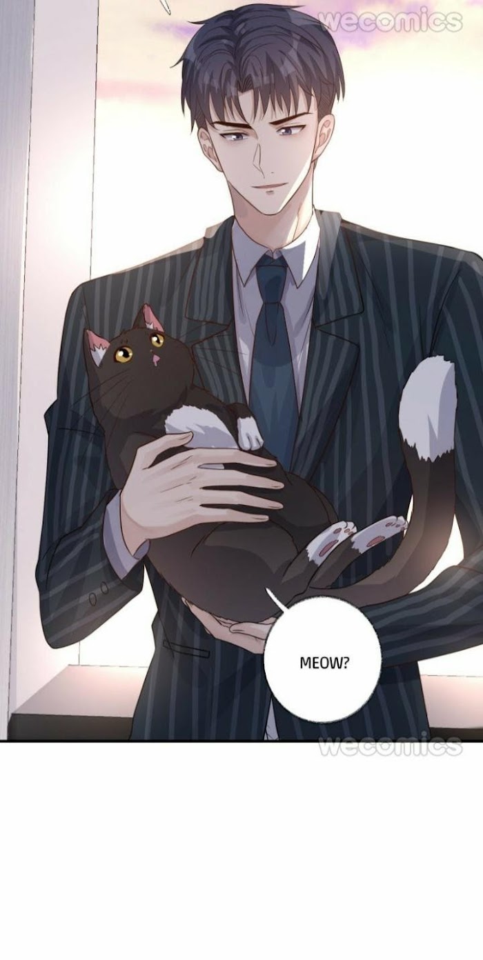 Pay Me Back, Mr. Cat Chapter 14 page 37 - 