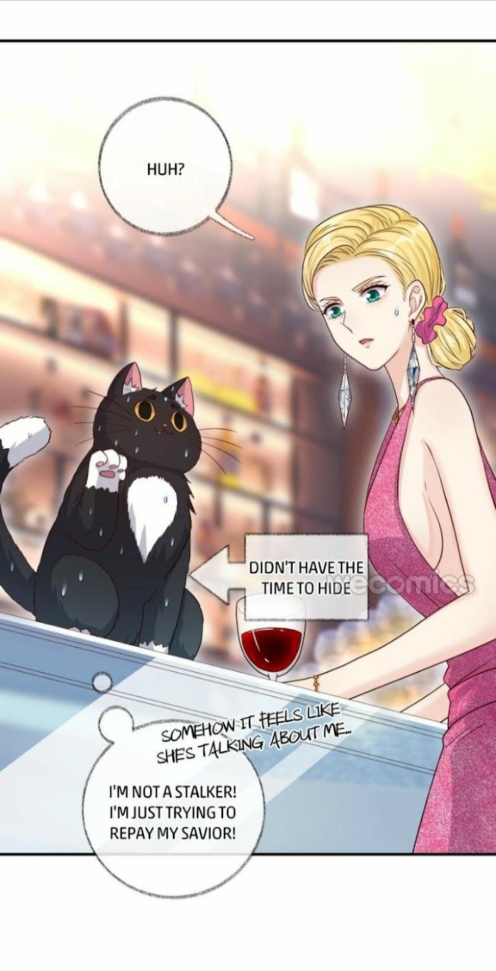 Pay Me Back, Mr. Cat Chapter 15 page 26 - 