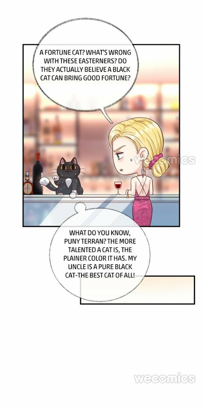 Pay Me Back, Mr. Cat Chapter 15 page 27 - 