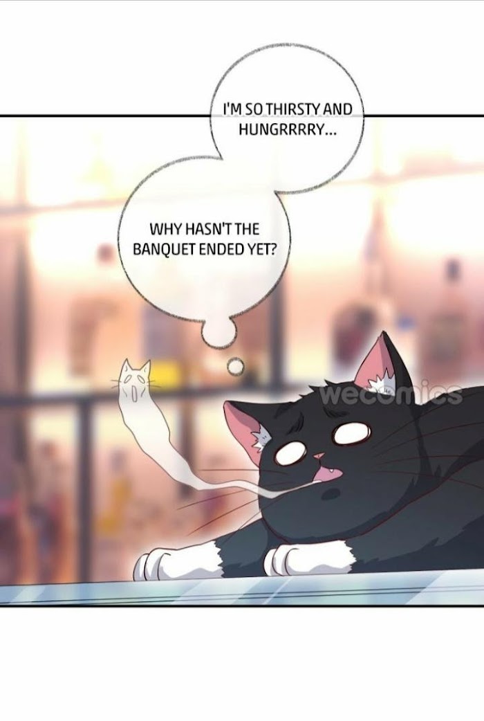 Pay Me Back, Mr. Cat Chapter 15 page 29 - 