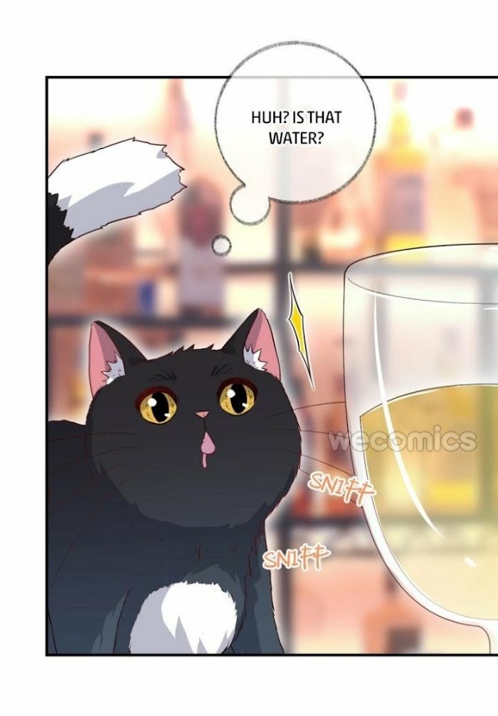 Pay Me Back, Mr. Cat Chapter 15 page 30 - 