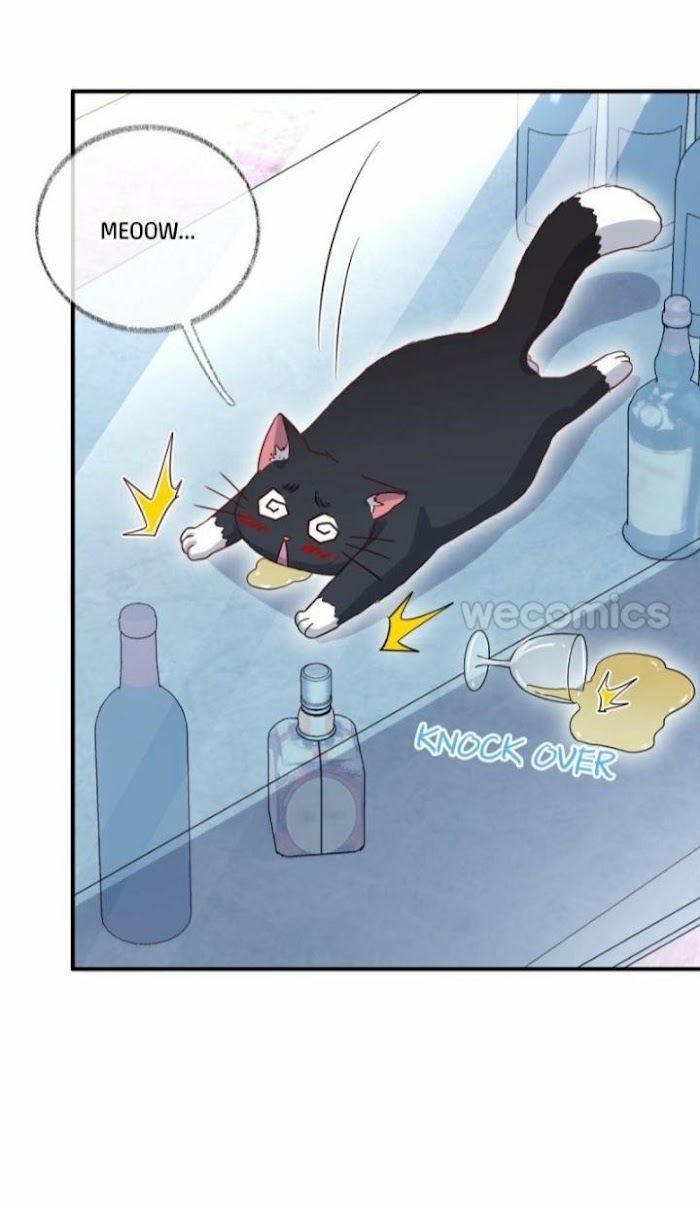 Pay Me Back, Mr. Cat Chapter 15 page 32 - 