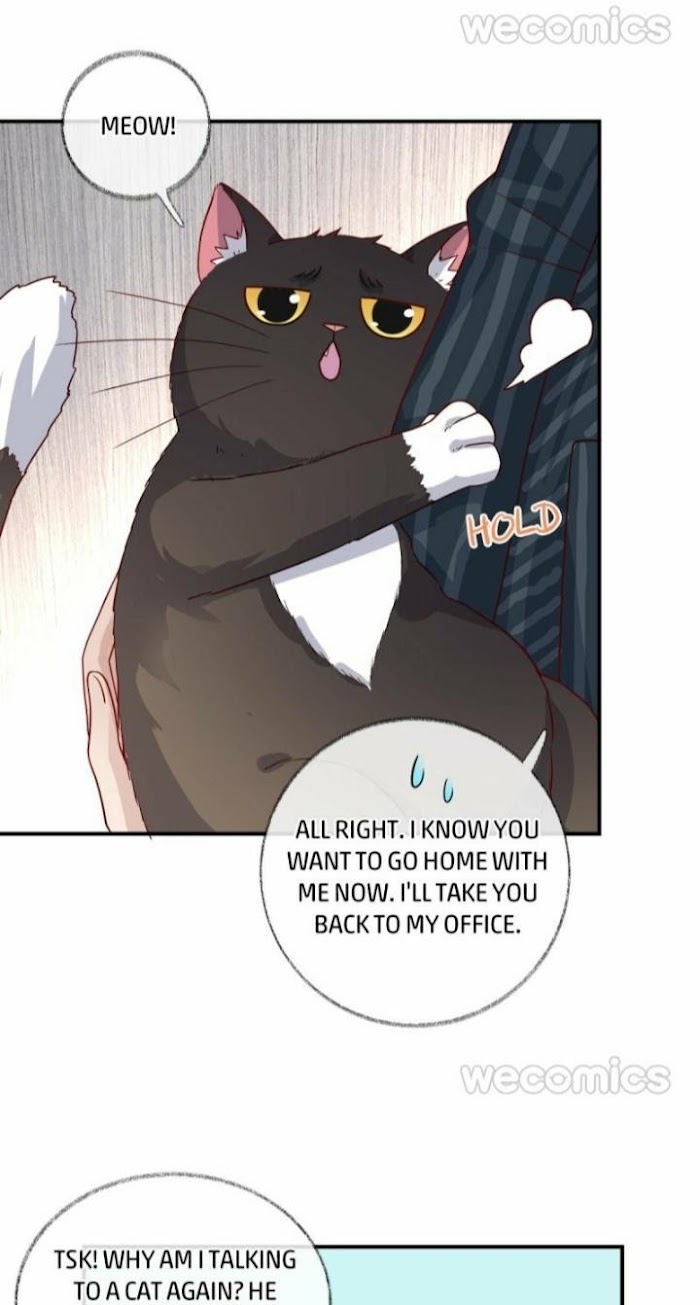 Pay Me Back, Mr. Cat Chapter 15 page 6 - 