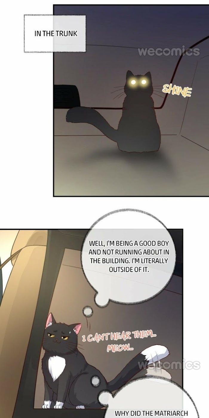 Pay Me Back, Mr. Cat Chapter 15 page 10 - 