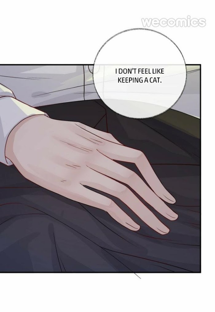 Pay Me Back, Mr. Cat Chapter 16 page 23 - 