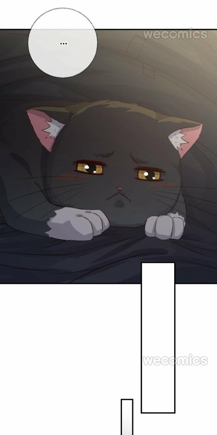 Pay Me Back, Mr. Cat Chapter 16 page 24 - 