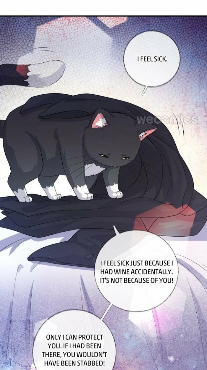 Pay Me Back, Mr. Cat Chapter 16 page 27 - 