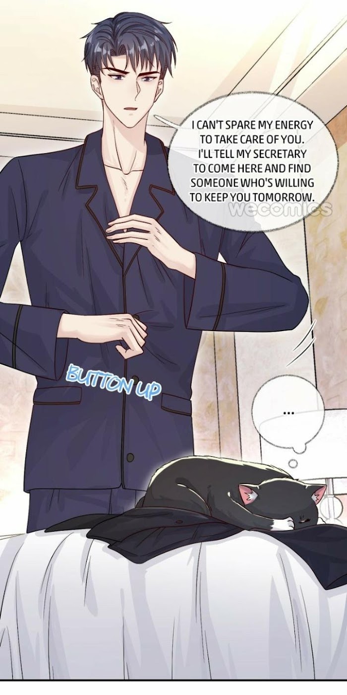 Pay Me Back, Mr. Cat Chapter 16 page 29 - 