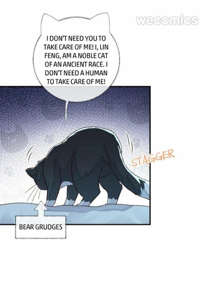 Pay Me Back, Mr. Cat Chapter 16 page 31 - 