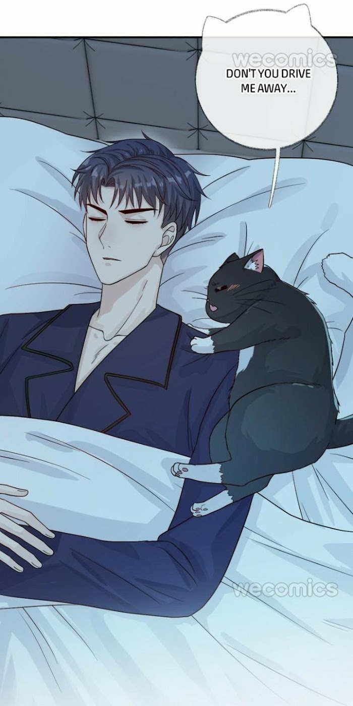 Pay Me Back, Mr. Cat Chapter 16 page 32 - 
