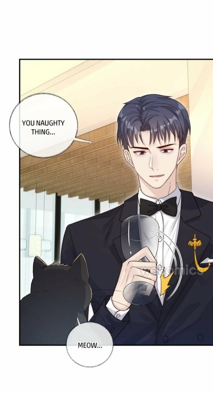 Pay Me Back, Mr. Cat Chapter 16 page 6 - 