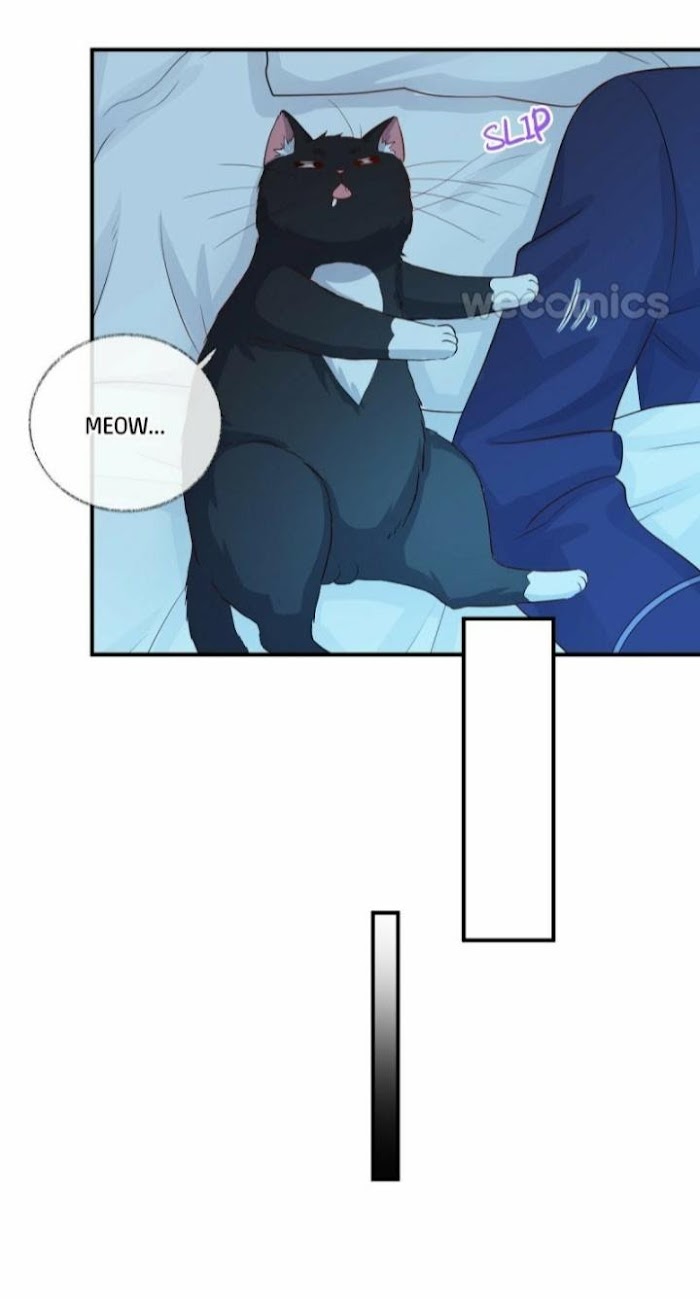 Pay Me Back, Mr. Cat Chapter 17 page 33 - 