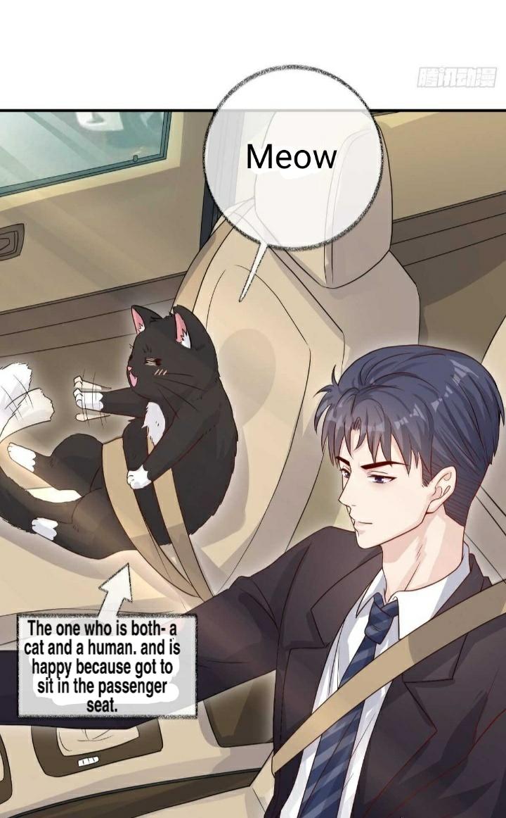 Pay Me Back, Mr. Cat Chapter 19 page 2 - 