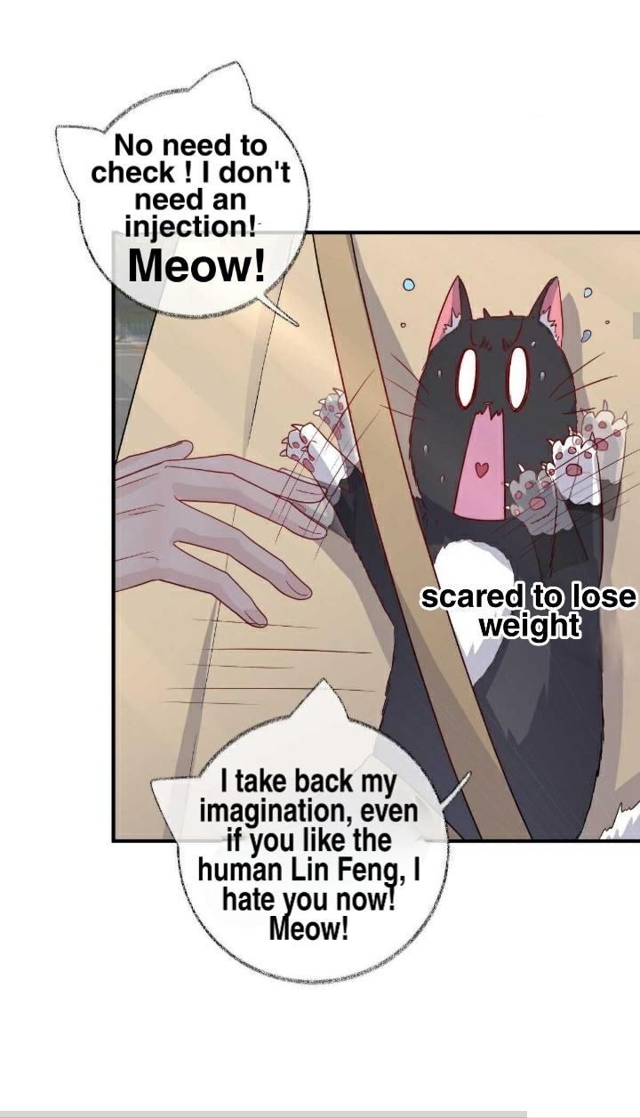 Pay Me Back, Mr. Cat Chapter 19 page 13 - 