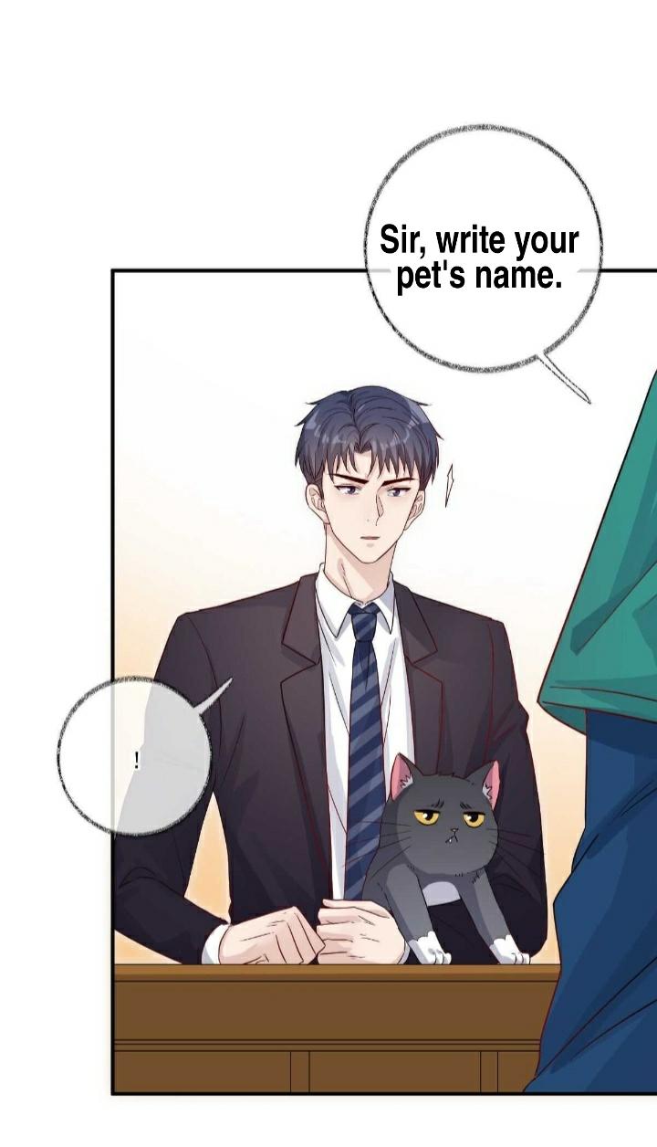 Pay Me Back, Mr. Cat Chapter 19 page 16 - 