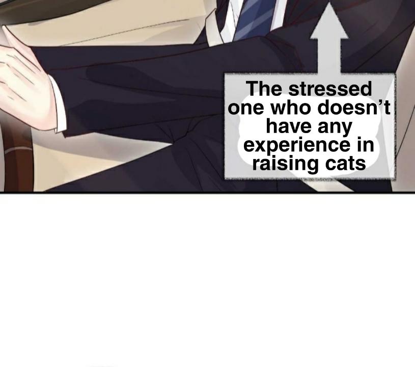 Pay Me Back, Mr. Cat Chapter 19 page 3 - 