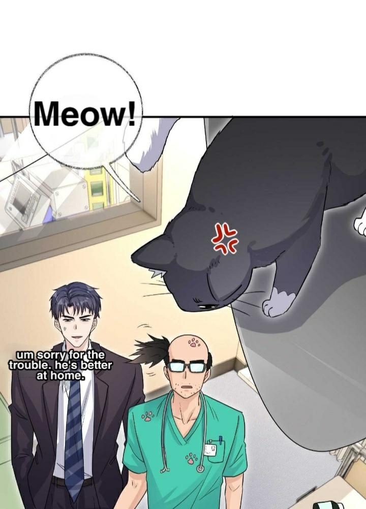 Pay Me Back, Mr. Cat Chapter 19 page 23 - 