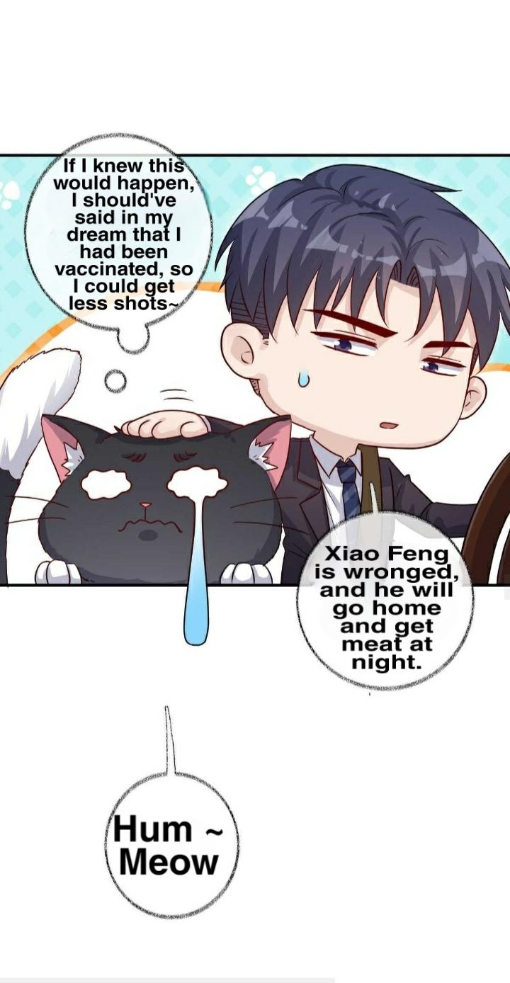 Pay Me Back, Mr. Cat Chapter 19 page 26 - 