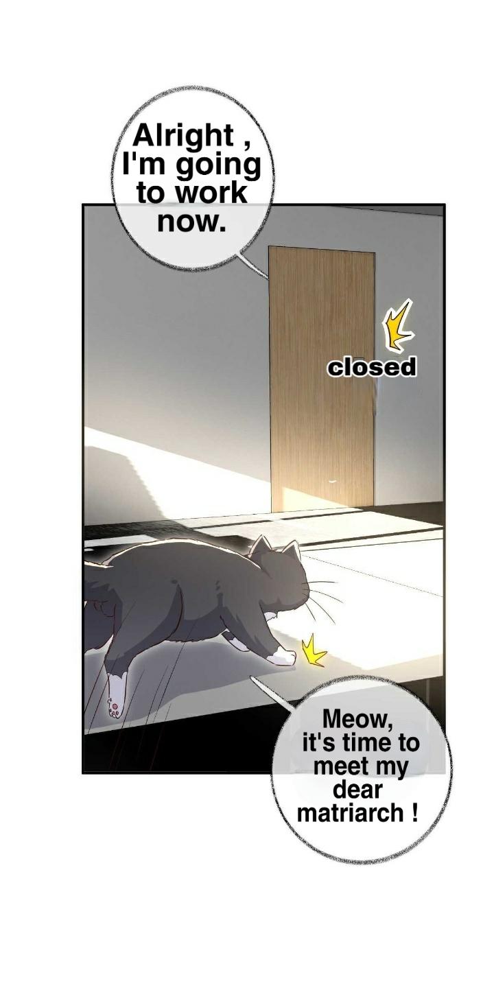 Pay Me Back, Mr. Cat Chapter 19 page 30 - 