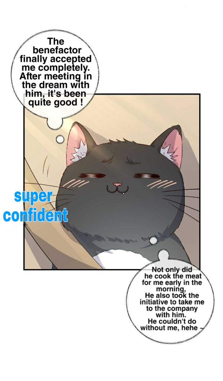 Pay Me Back, Mr. Cat Chapter 19 page 4 - 