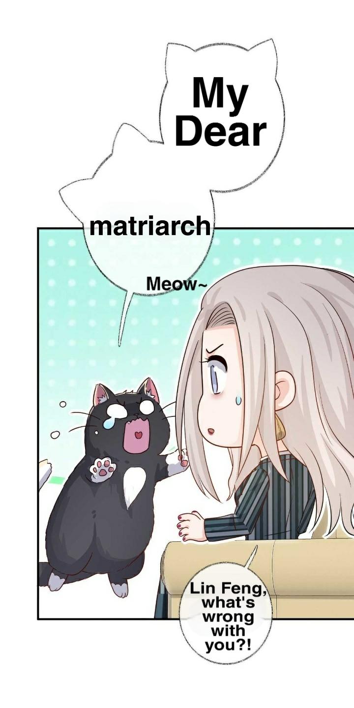 Pay Me Back, Mr. Cat Chapter 19 page 31 - 