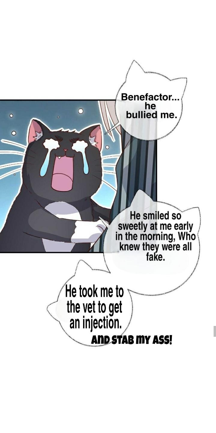 Pay Me Back, Mr. Cat Chapter 19 page 32 - 
