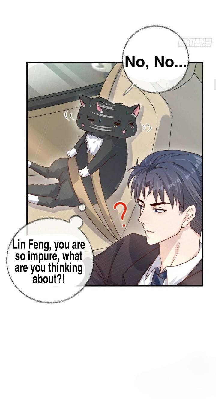 Pay Me Back, Mr. Cat Chapter 19 page 8 - 