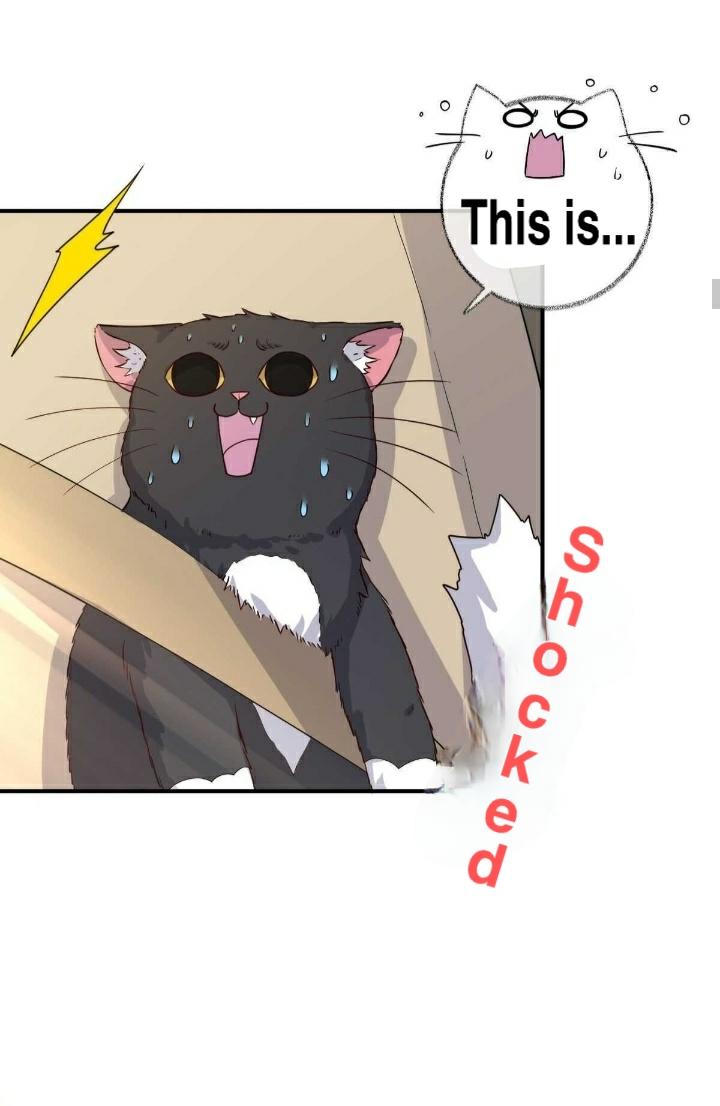 Pay Me Back, Mr. Cat Chapter 19 page 10 - 
