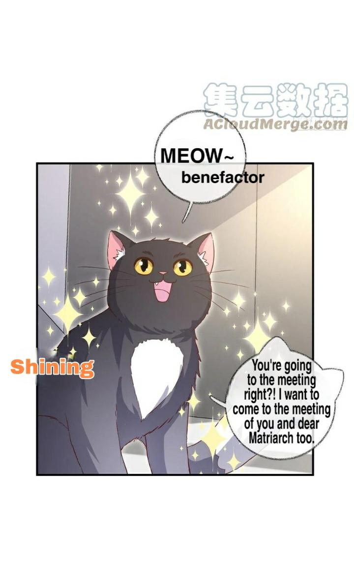 Pay Me Back, Mr. Cat Chapter 20 page 23 - 