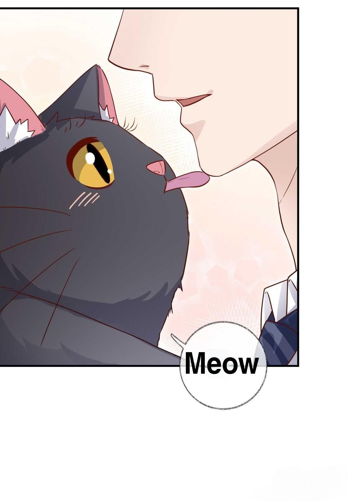 Pay Me Back, Mr. Cat Chapter 20 page 27 - 