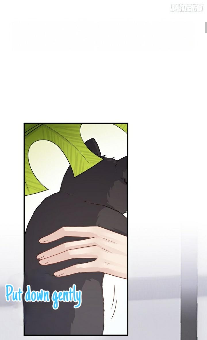 Pay Me Back, Mr. Cat Chapter 21 page 3 - 