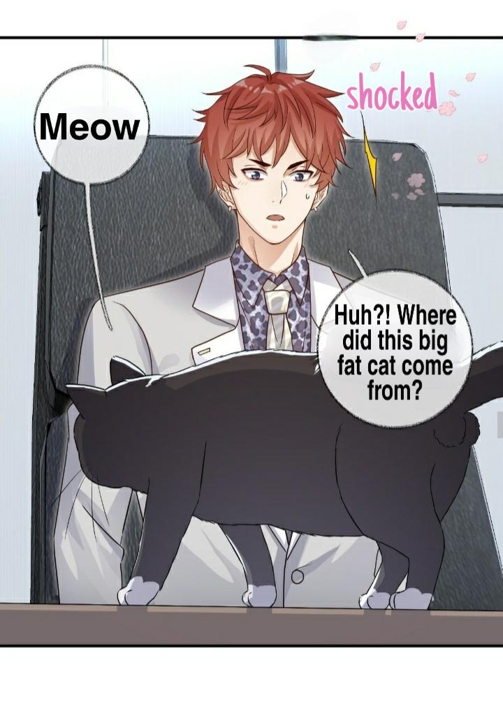 Pay Me Back, Mr. Cat Chapter 21 page 28 - 