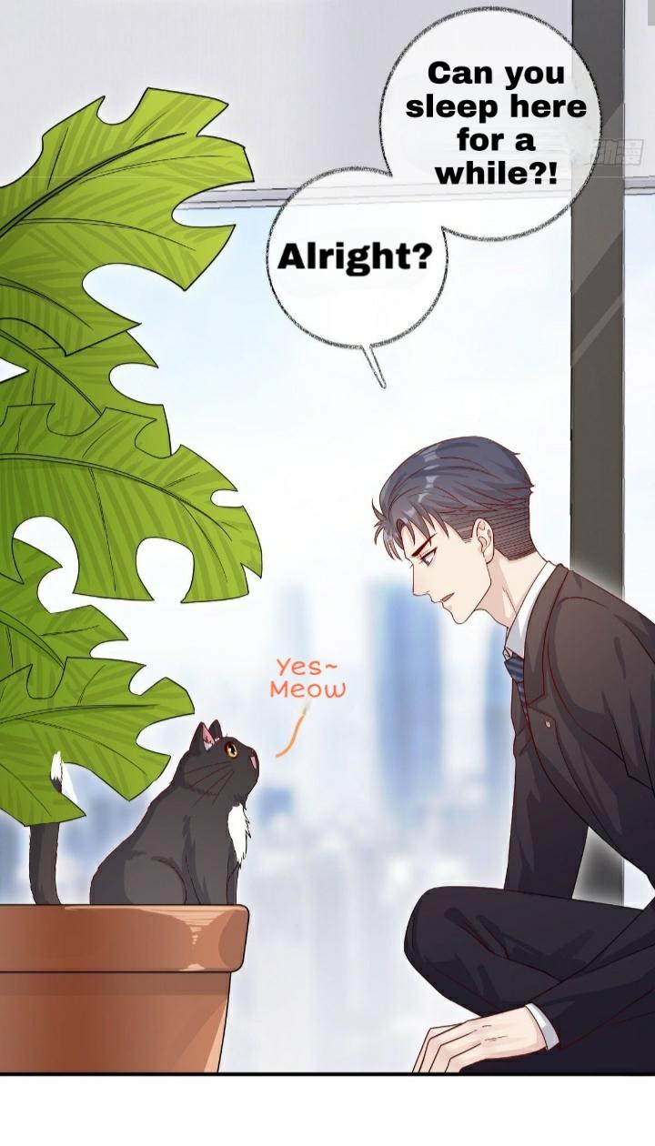 Pay Me Back, Mr. Cat Chapter 21 page 4 - 