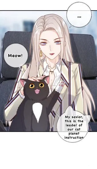 Pay Me Back, Mr. Cat Chapter 22.1 page 19 - 