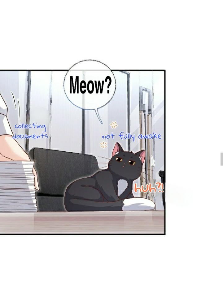 Pay Me Back, Mr. Cat Chapter 22 page 14 - 