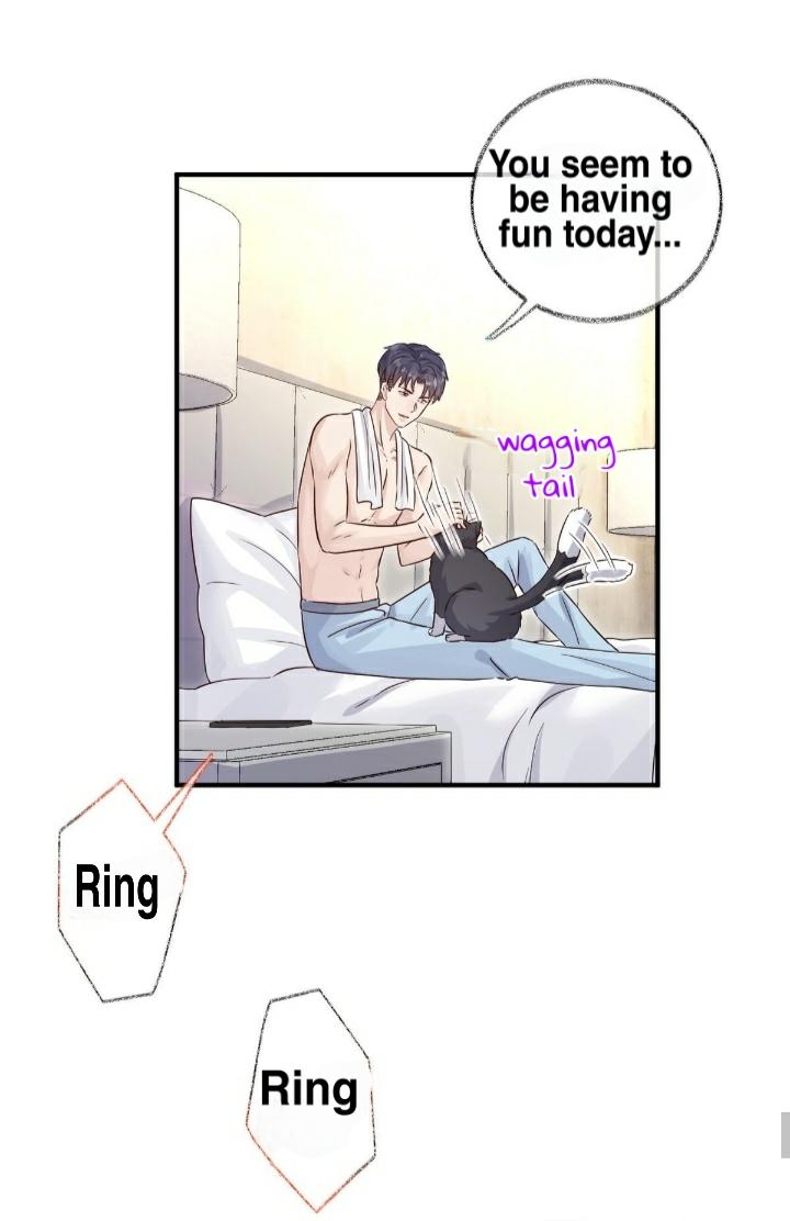 Pay Me Back, Mr. Cat Chapter 22 page 31 - 