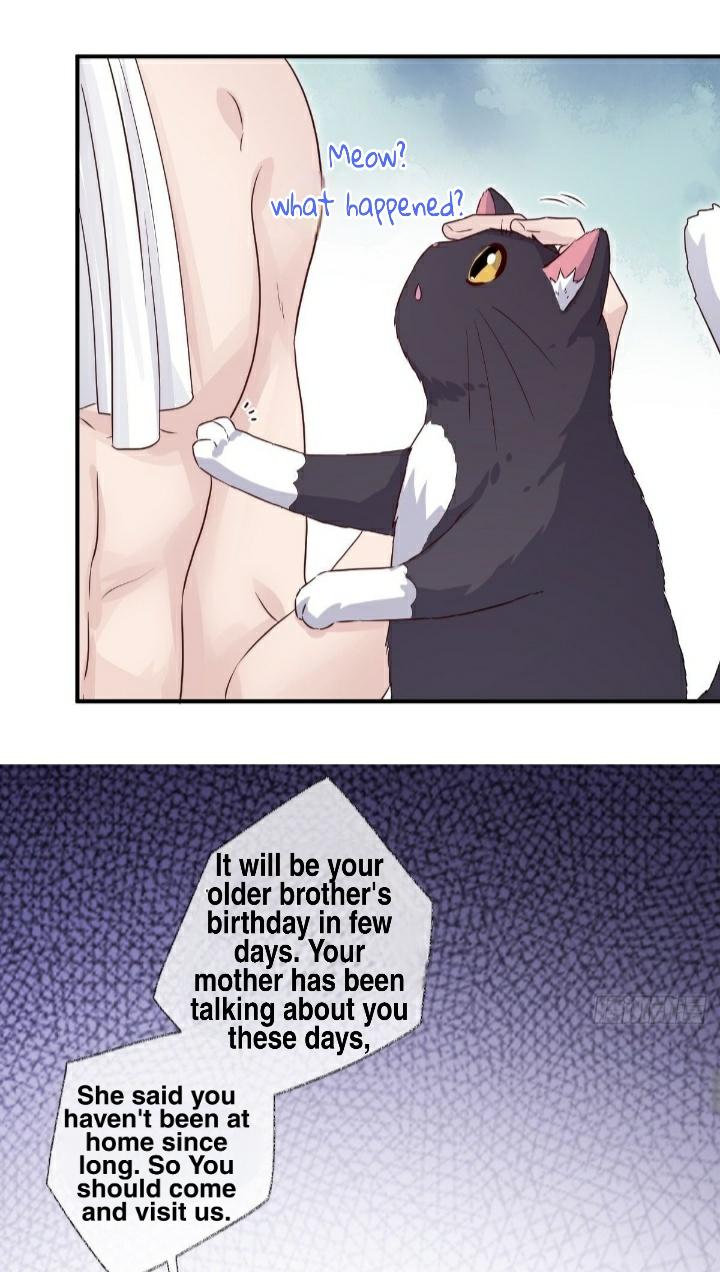 Pay Me Back, Mr. Cat Chapter 22 page 33 - 