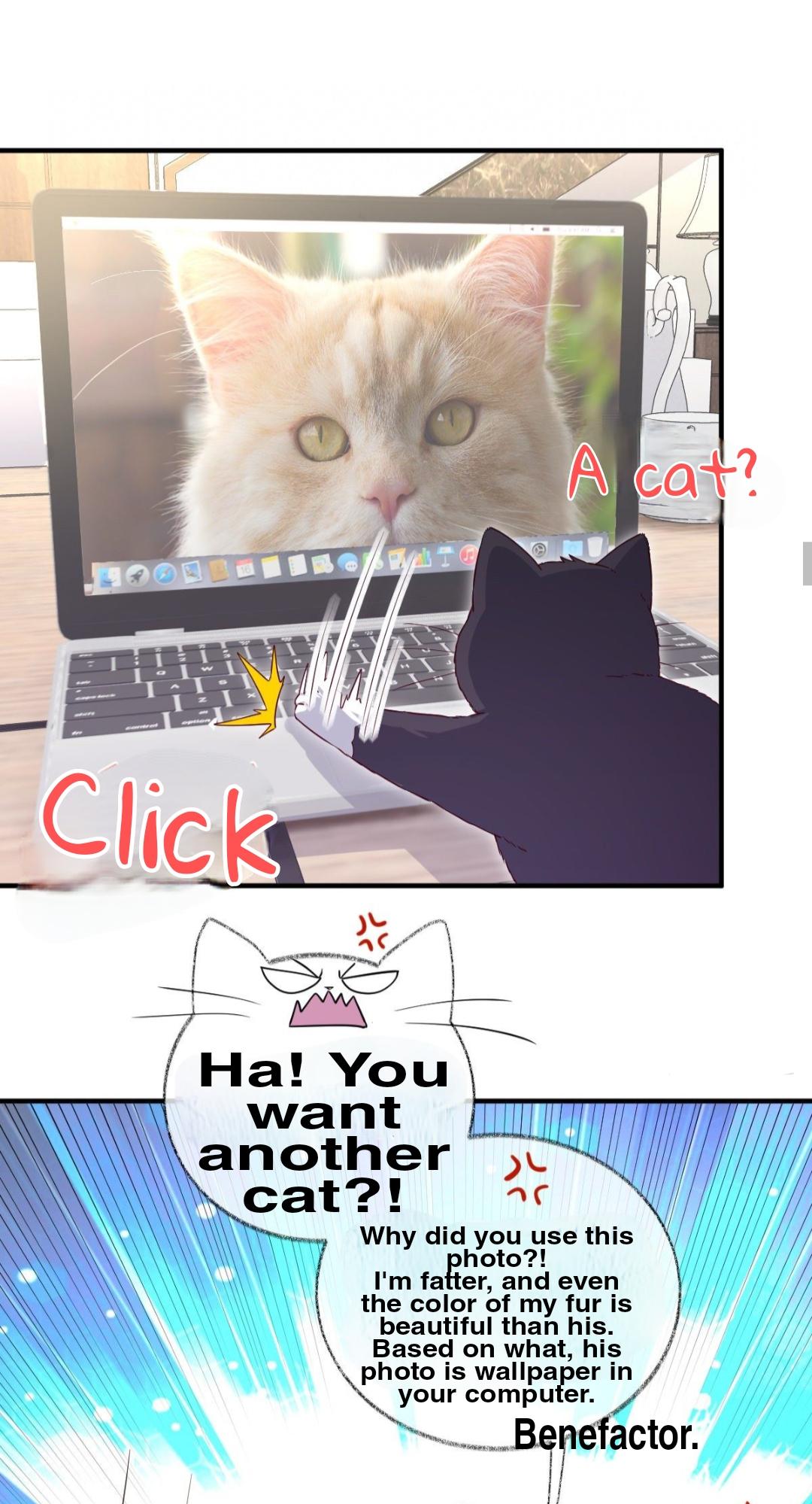 Pay Me Back, Mr. Cat Chapter 23 page 17 - 