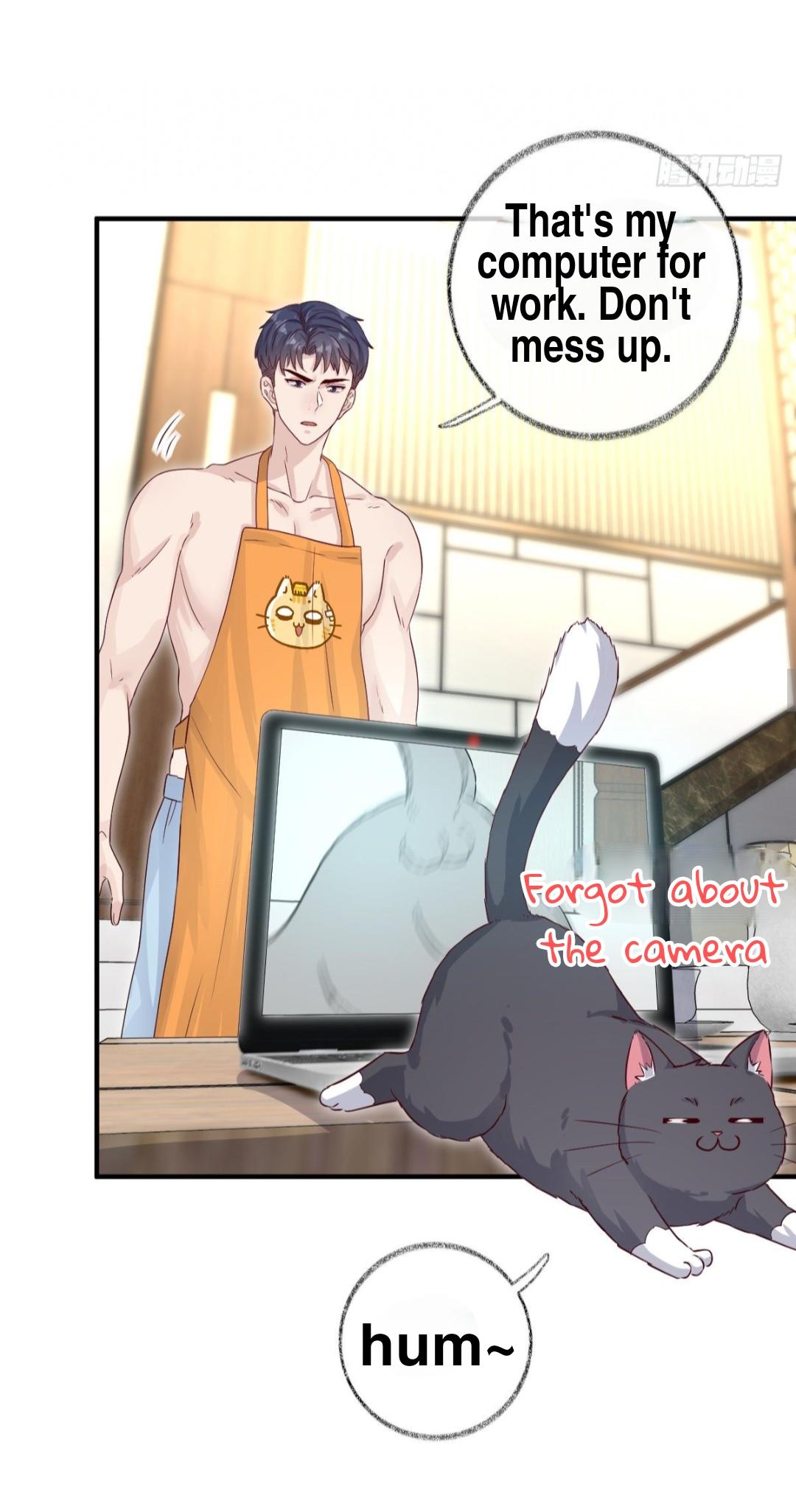 Pay Me Back, Mr. Cat Chapter 23 page 21 - 