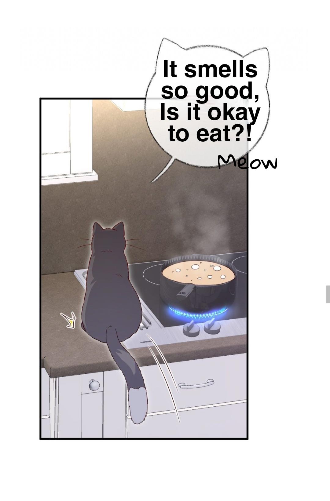 Pay Me Back, Mr. Cat Chapter 23 page 22 - 