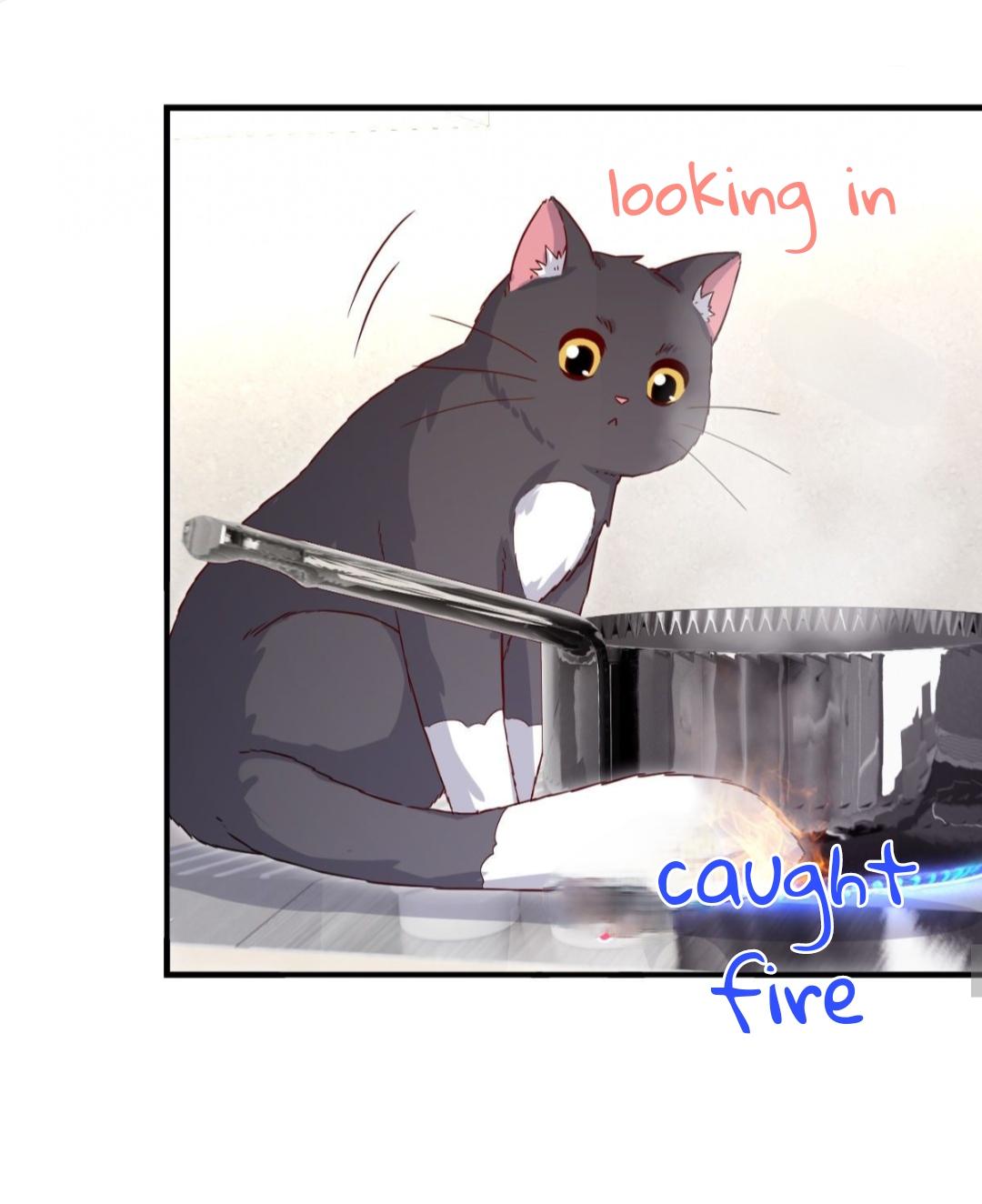 Pay Me Back, Mr. Cat Chapter 23 page 23 - 