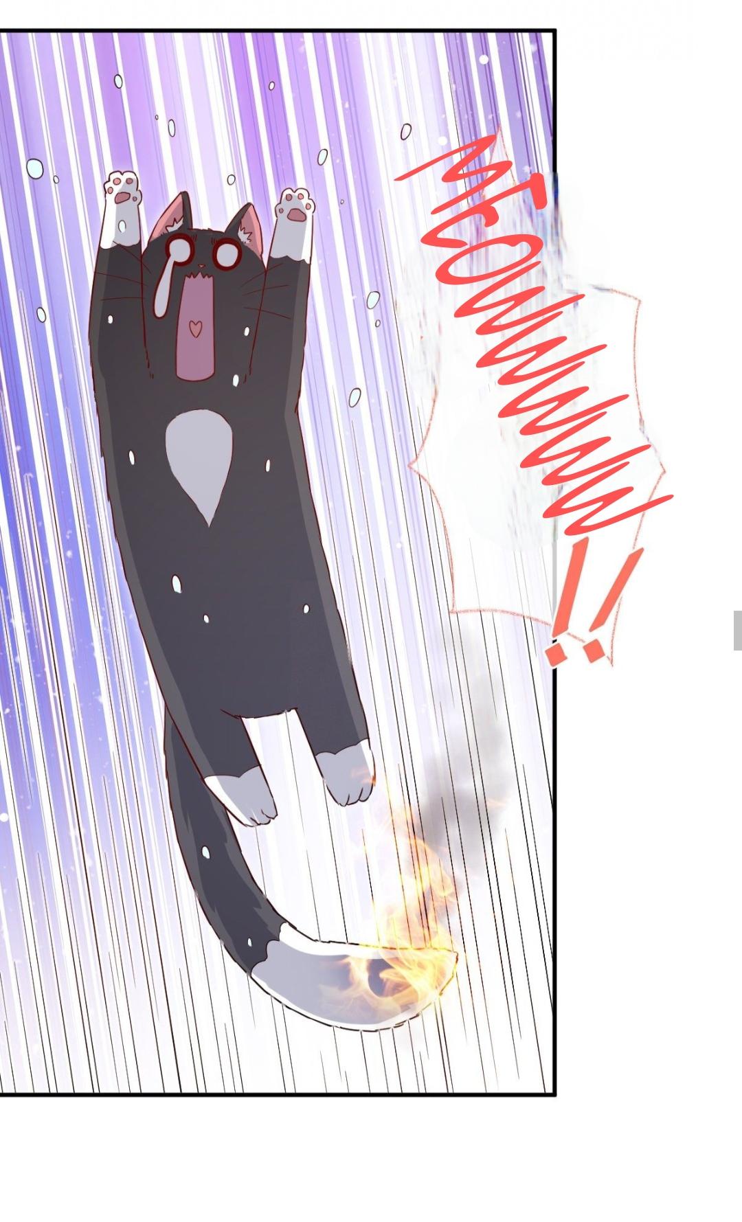 Pay Me Back, Mr. Cat Chapter 23 page 24 - 