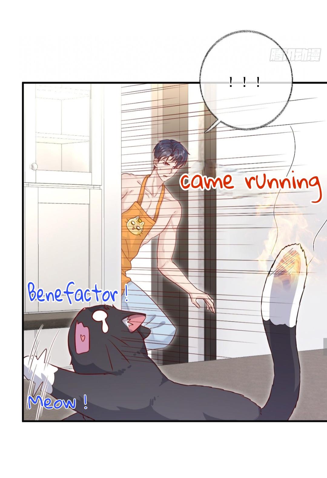 Pay Me Back, Mr. Cat Chapter 23 page 25 - 