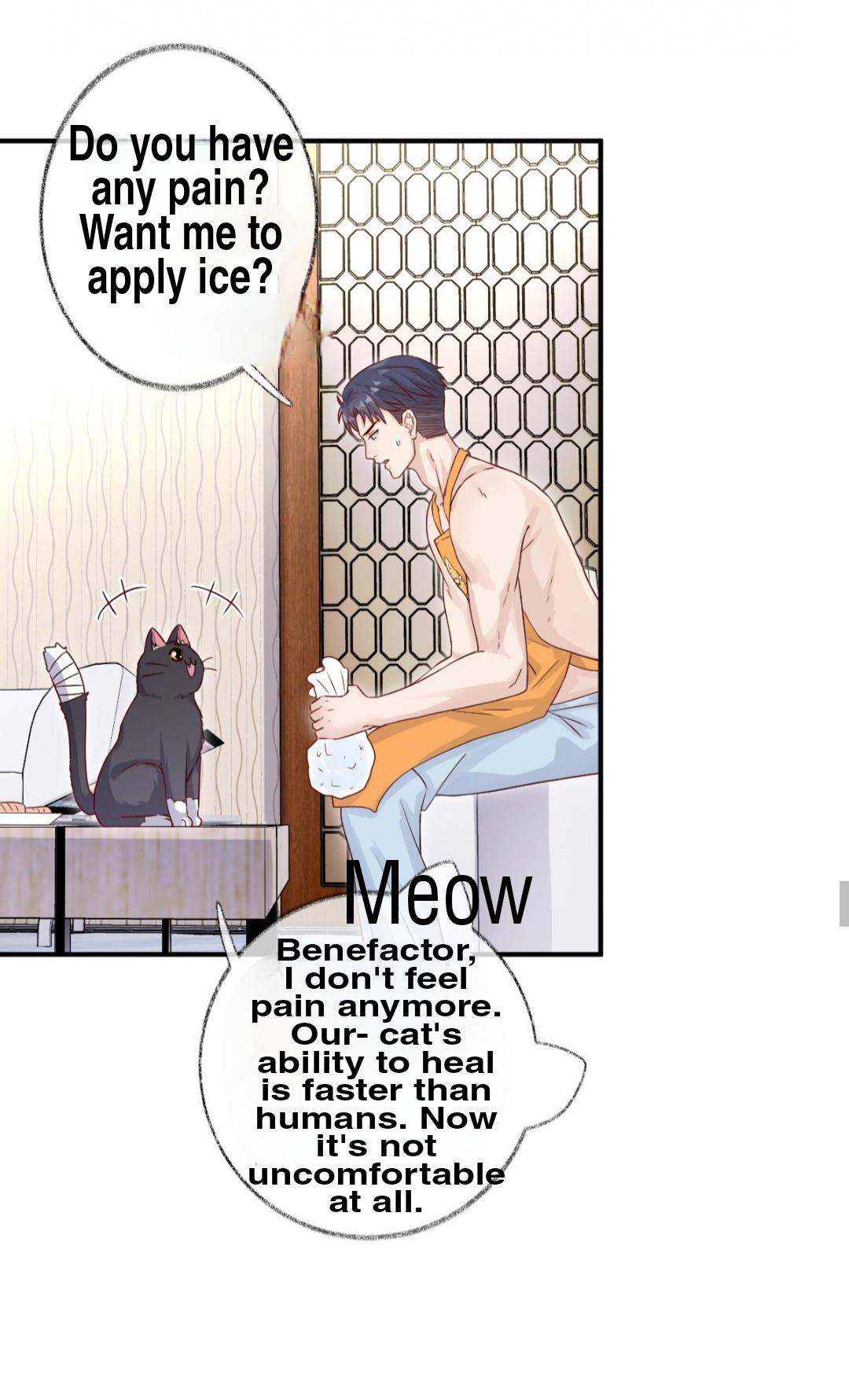 Pay Me Back, Mr. Cat Chapter 23 page 29 - 