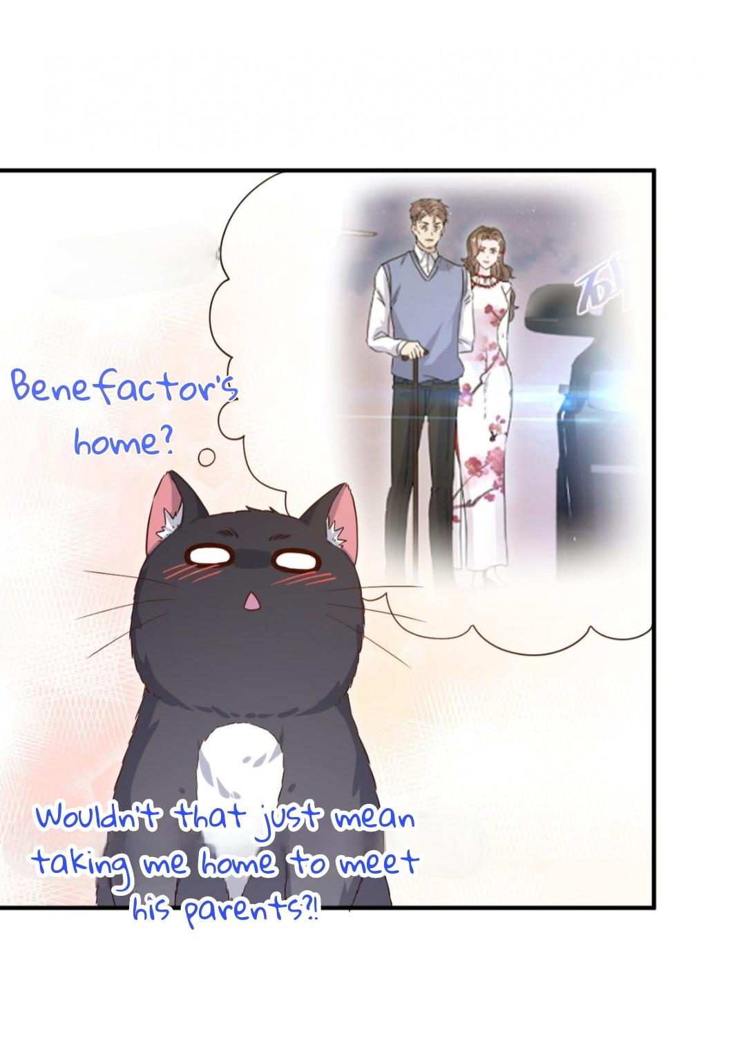 Pay Me Back, Mr. Cat Chapter 23 page 35 - 