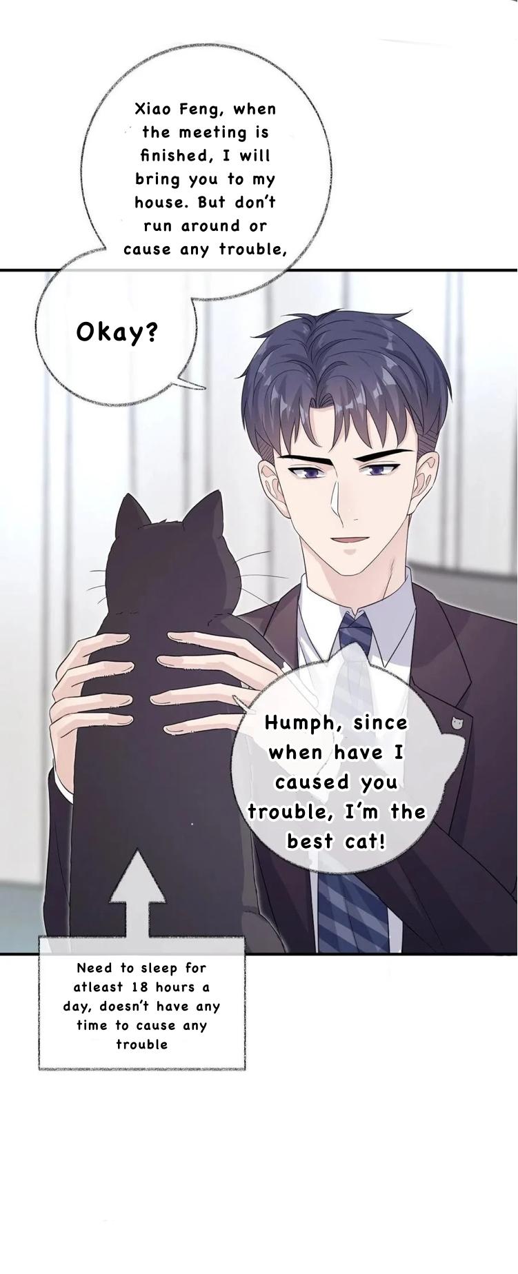 Pay Me Back, Mr. Cat Chapter 25 page 30 - 