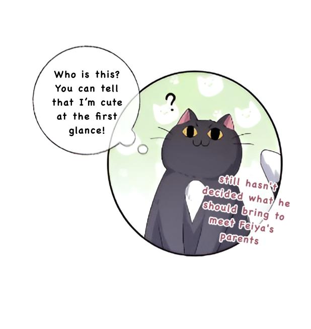 Pay Me Back, Mr. Cat Chapter 25 page 33 - 
